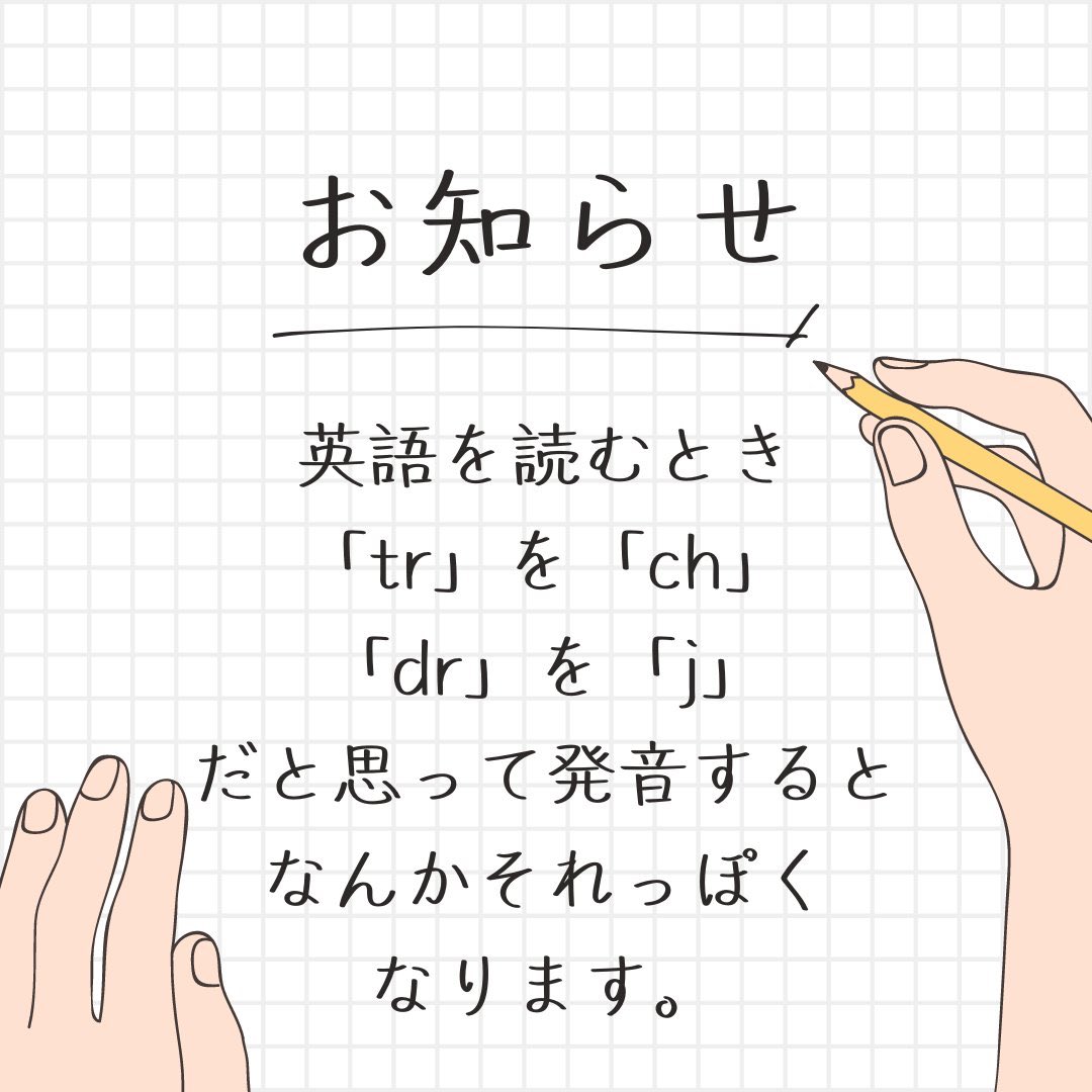 大切なお知らせです🐨 
