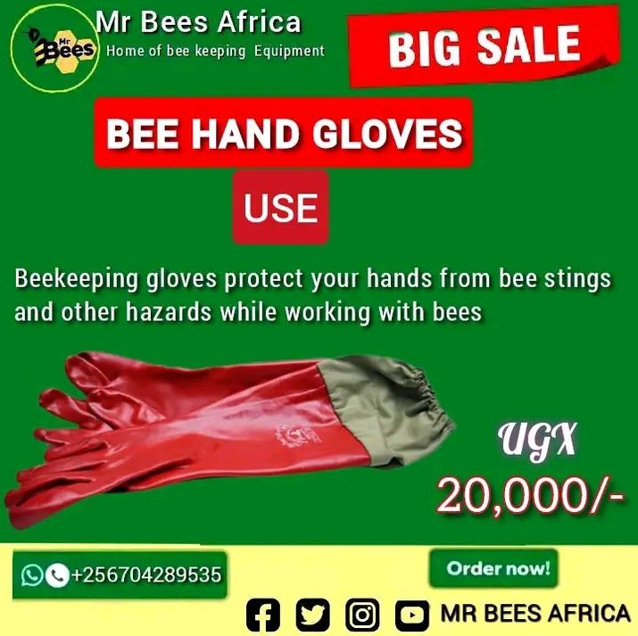 MrBeesAfrica's tweet image. Beekeeping Hand Gloves for Sale!
Protect yourself from stings
UGX 20,000/-
Call/Text: 0781 075 802
#BeeGloves #Beekeeping #BeeProtection