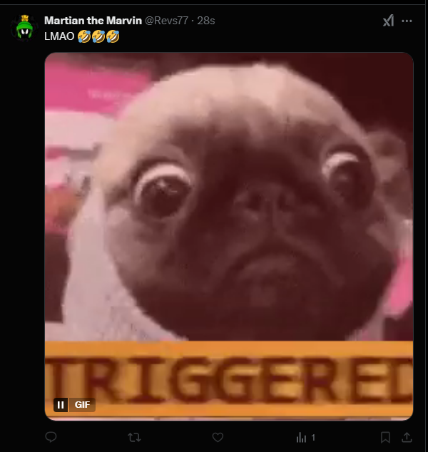 Trevor Gordo Randall tweet media