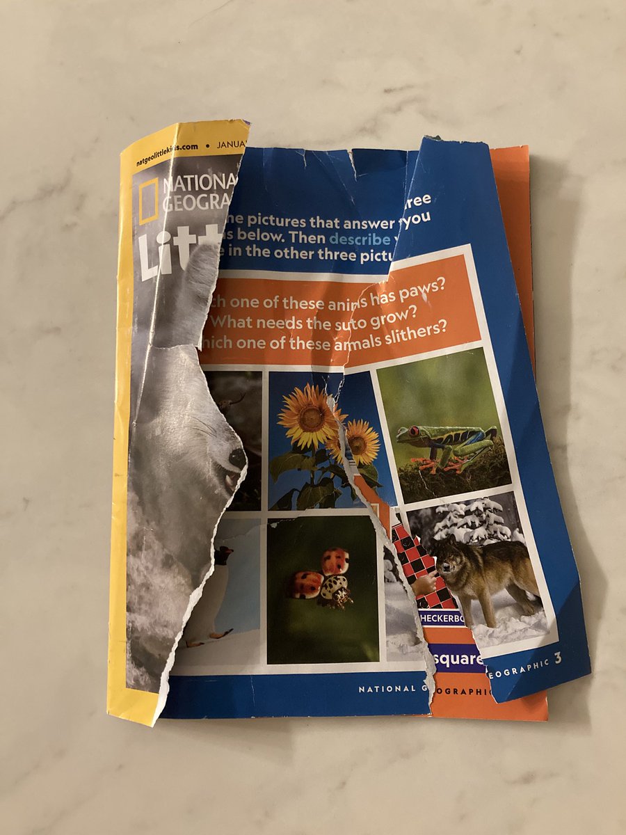 Justin Gaudon tweet media