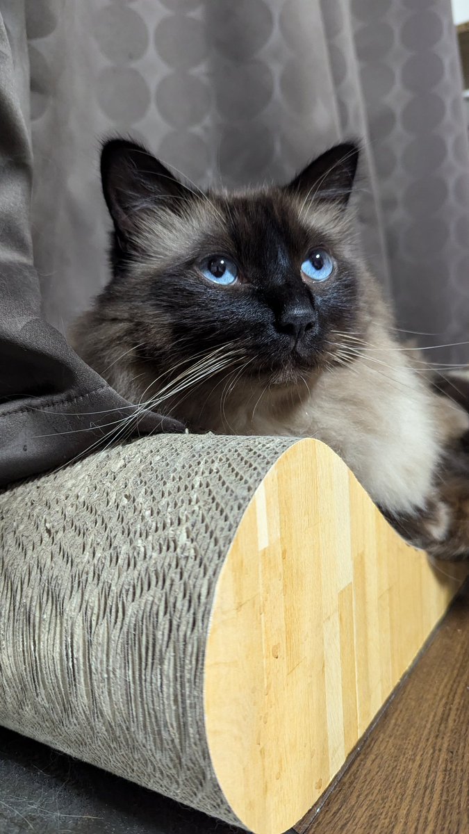 今日、何食べようなかぁ〜