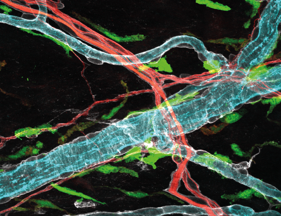 ScienceMagazine tweet picture