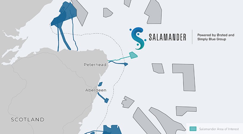 Orsted, Simply Blue Group and Subsea7's floating offshore wind project Salamander has successfully retrieved floating LiDARs and wave buoy equipment as part of the metocean campaign for the proposed project off the North East of Scotland. renews.biz/98299/ #offshorewind