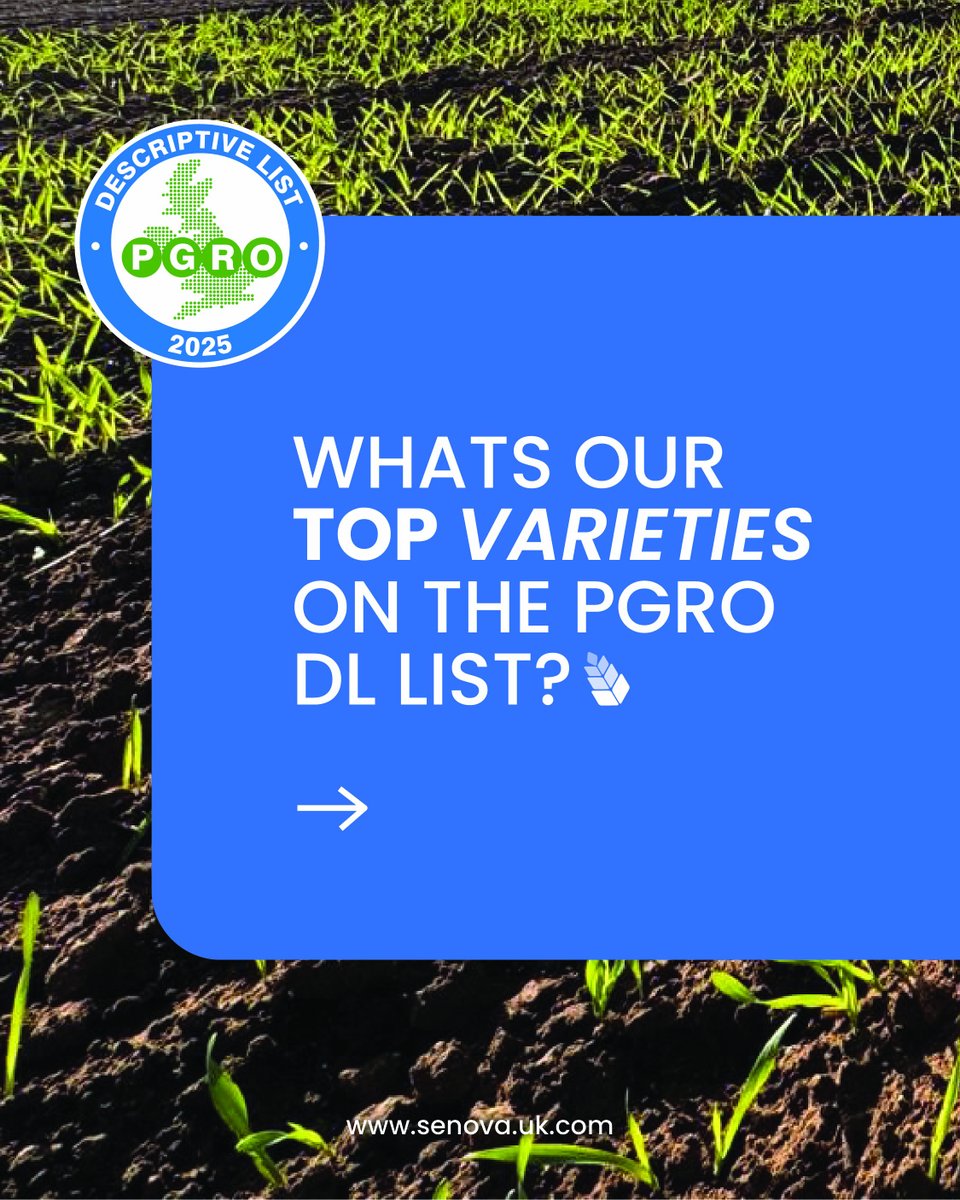 SenovaLtd's tweet photo. See 🌱 @senovauk's top performers on the PGRO DL list for 2025.

Contact us for more info 👉 info@senova.uk.com 

#InTheField #Agri2025 #SeedIndustry #UkAgriculture #AgriNews #SpringBeans #Peas #Pulses https://t.co/U4uewhtnDL