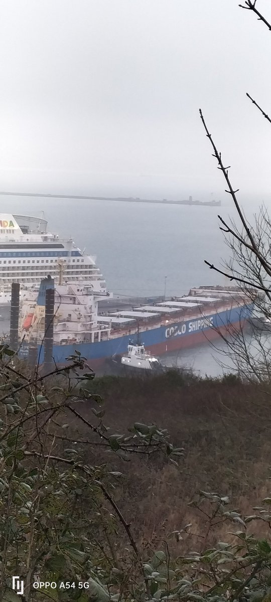 AytonJustyn's tweet photo. 🏭 No Incinerator 🏭 Boycott portland port 🇵🇦 Hong Sheng 🇵🇦 in #portland on 22/1/25. A Bulk Carrier vessel.#Weymouth #dorset #HongSheng #photography #shipslnpics #shipspotting #BulkCarrier #shipping #ships #Shipsphotography #Panama #CoscoHkshipping https://t.co/aSg5u6d1nL