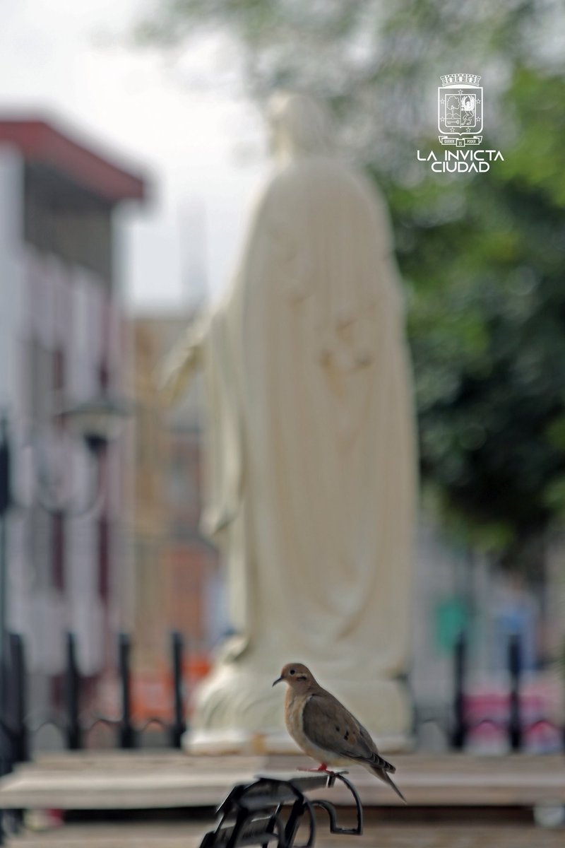 PapoelZappo's tweet photo. Postal de un rincón de #Portoviejo La Invicta Ciudad. Sabes dónde está ubicada? #InvictaCiudad #monumento https://t.co/5HAezSy6OQ