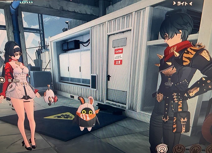 並べたら兄妹感してきた 