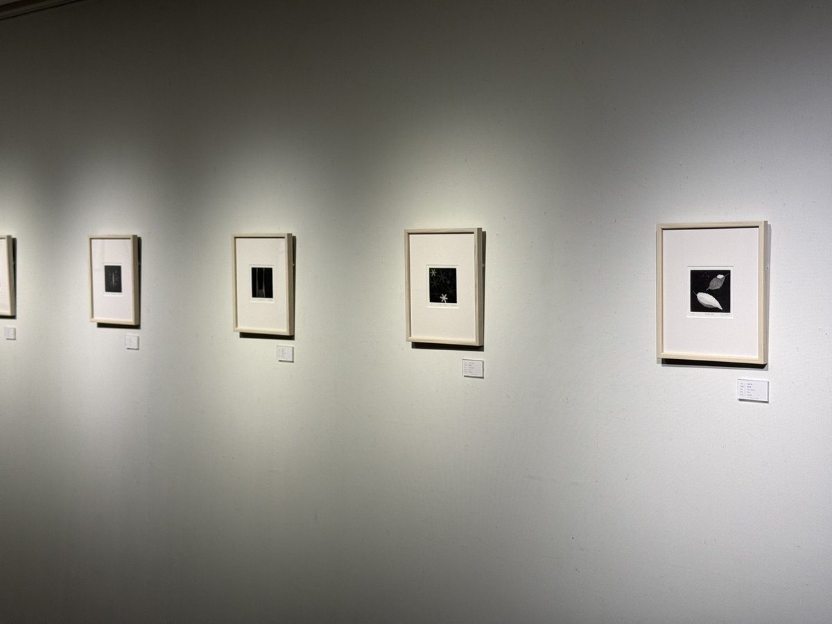 GALLERY__SOU's tweet photo. 土田倫子作品展「かけがえのない穏やかな冬の日」　銅版画の技法で描かれた美しい作品。 10㎝×10㎝の中に広がる小さくて果てしない穏やかな景色。
ぜひご覧ください。
〜1/26、11時〜18時、最終日は17時まで https://t.co/C5CopNDXFV