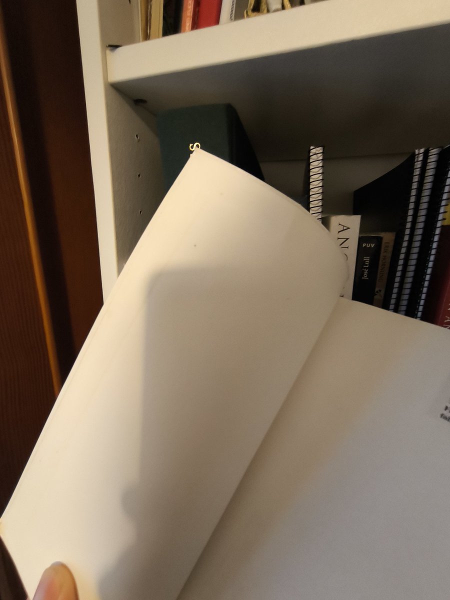 El Escriba Frustrado tweet media