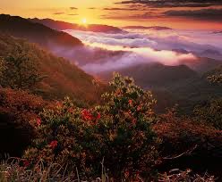 乙骨ｴﾁ太 (@naito_fn) on Twitter photo 