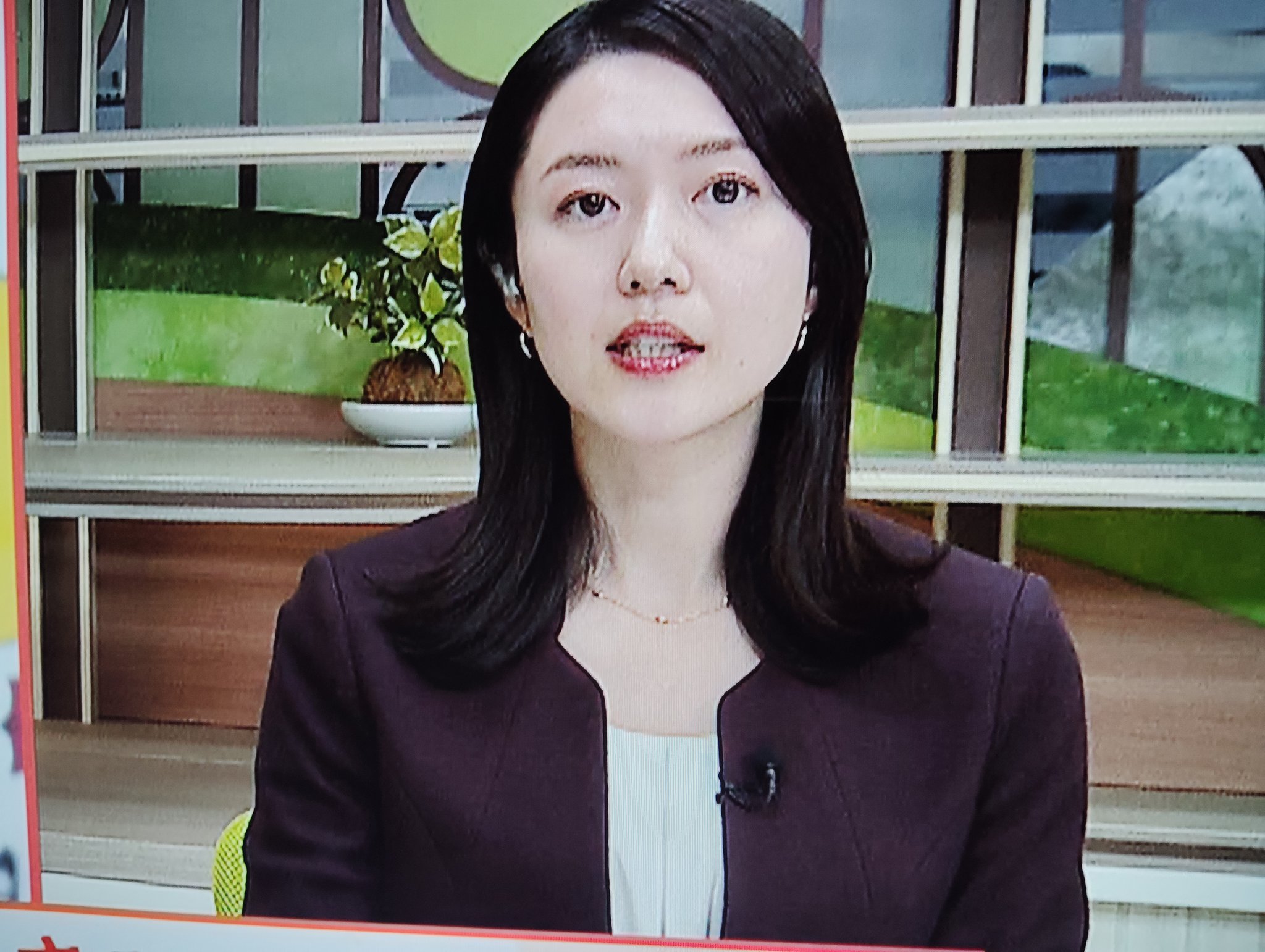 げっ歯類の臨床 斎藤 久美子 Amazon.co.jp: げっ歯類の臨床 : 斎藤 久美子: 本