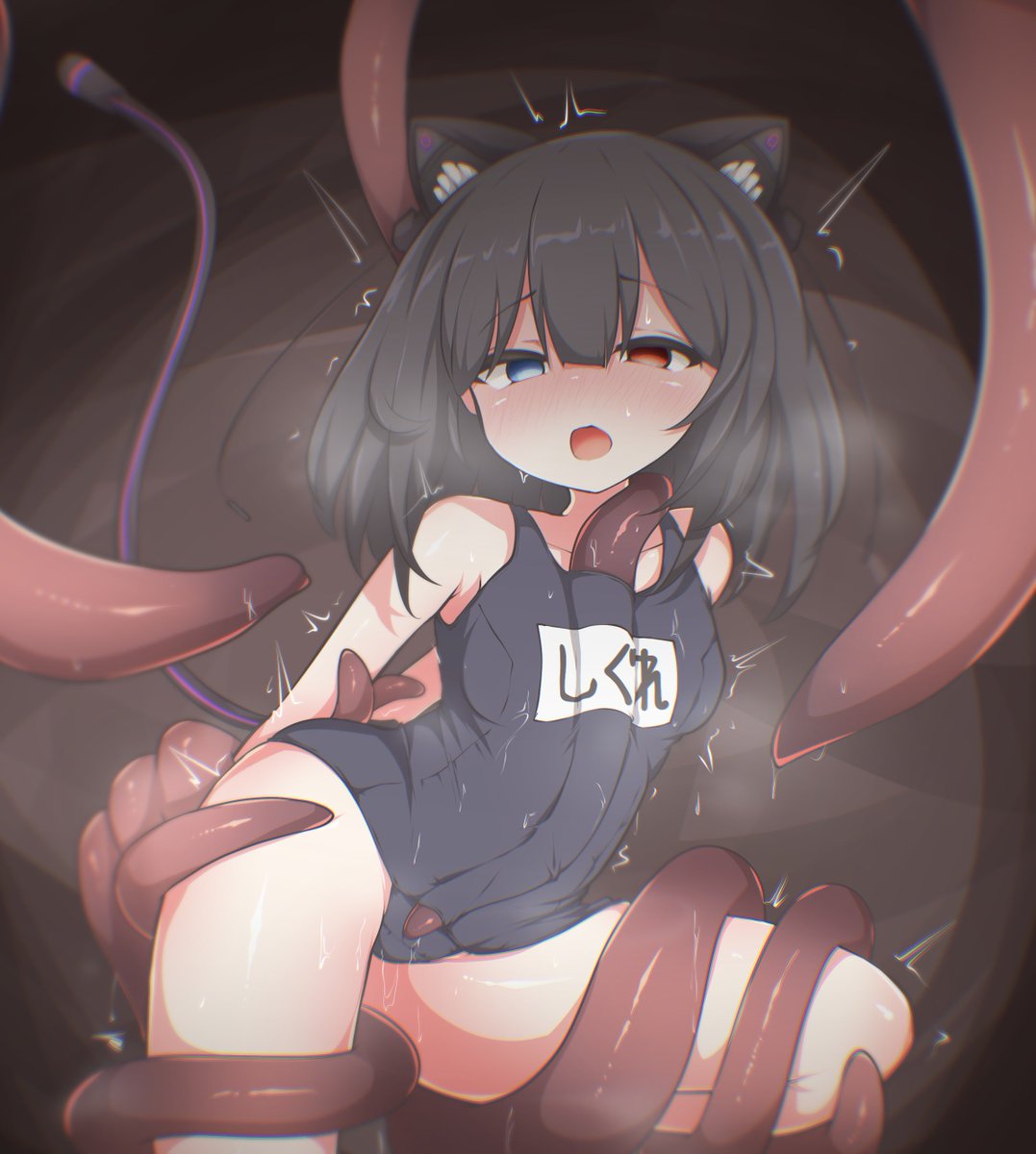 時雨さん🐙