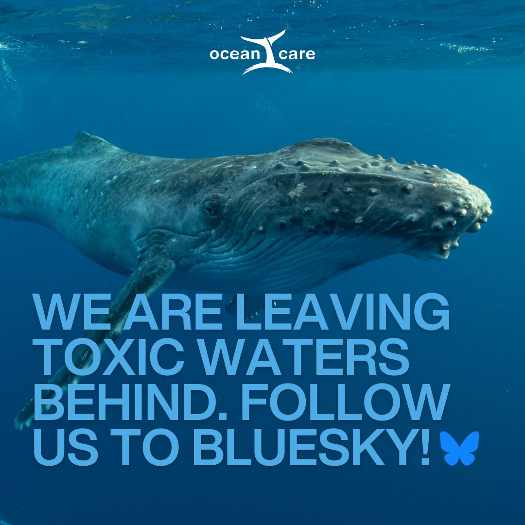 We’re leaving toxic waters behind as we strive for a healthy and thriving ocean.💙 Join us on Bluesky: bsky.app/profile/oceanc…. Because Our Planet Is Blue. 🌎 #OceanCare #Bluesky #eXit