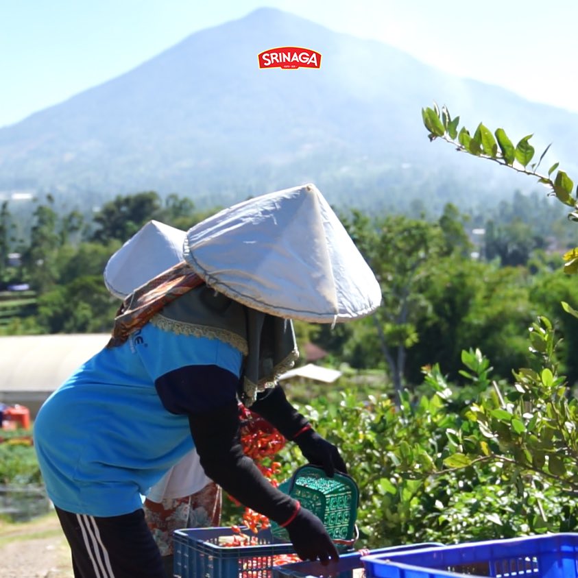 Nagapara_Coin's tweet photo. Srinaga chili sauce comes from the Wanaraja Garut area. With the best quality chili, Srinaga Sauce is present as an additional deliciousness in every dish

#srinagasauce #sauce #localbrands #Indonesianproducts  #tomato #maintainthetasteofthearchipelago https://t.co/iOGoPz1IiZ