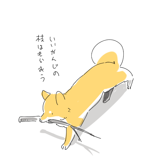 葉っぱがヒノキっぽいスギ 