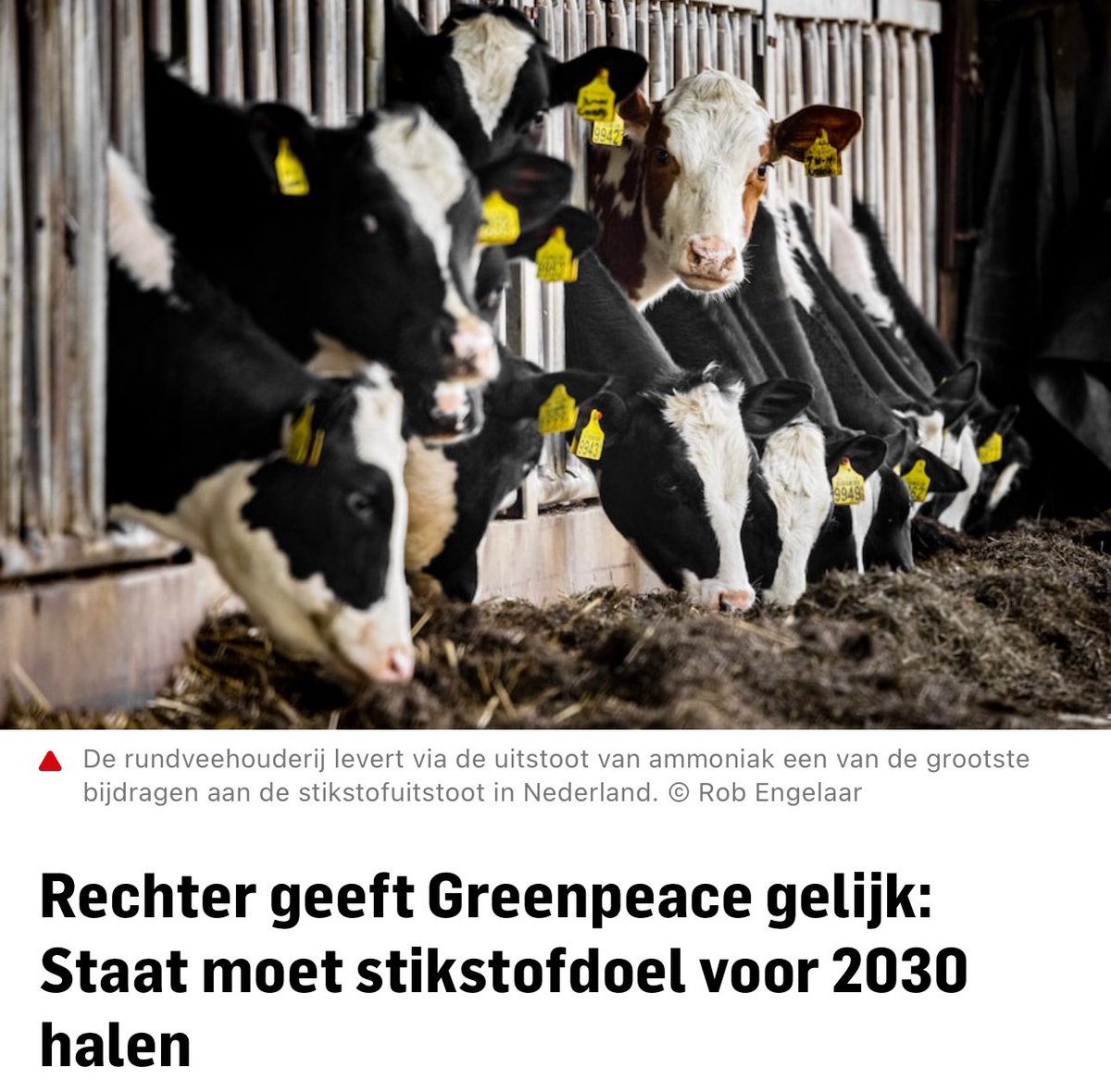 F__Timmermans's tweet photo. De uitspraak toont aan dat het huidige beleid van kabinet en BBB-ministers tekortschiet. Dit kabinet en de BBB-ministers kijken toe hoe de natuur verslechtert en laten boeren in onzekerheid. Kom nu met plannen om de natuur te herstellen en boeren te helpen met duurzame landbouw. https://t.co/1OSJSPoSMR