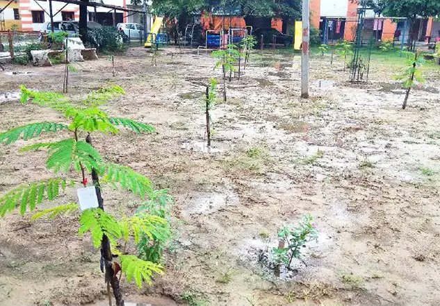 OTBLINDIA's tweet photo. Developing Green covers (Plantation) in rural Schools for environment sustainability and, Vocational training for students on the cultivation of Medical and Aromatic plantation

https://t.co/1a8D77hUky https://t.co/XcRqHfSoqR