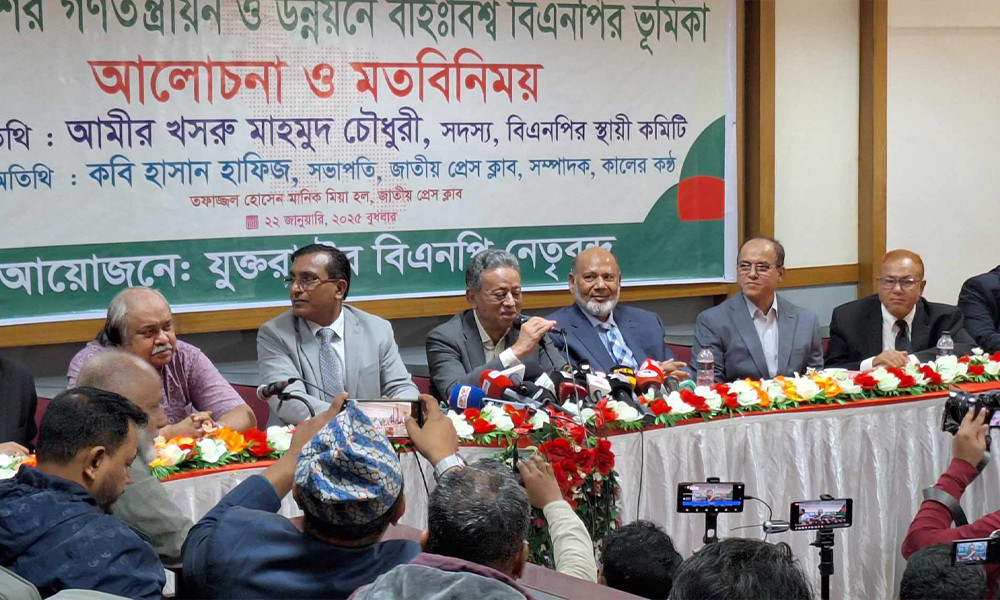 জাতীয় সরকার করে ৩১ দফা বাস্তবায়ন করবেন তারেক রহমান : আমীর খসরু