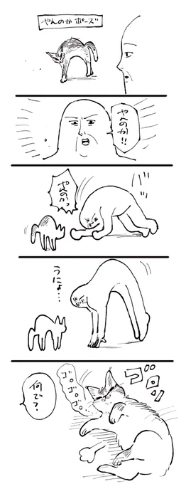 やんのか対決 