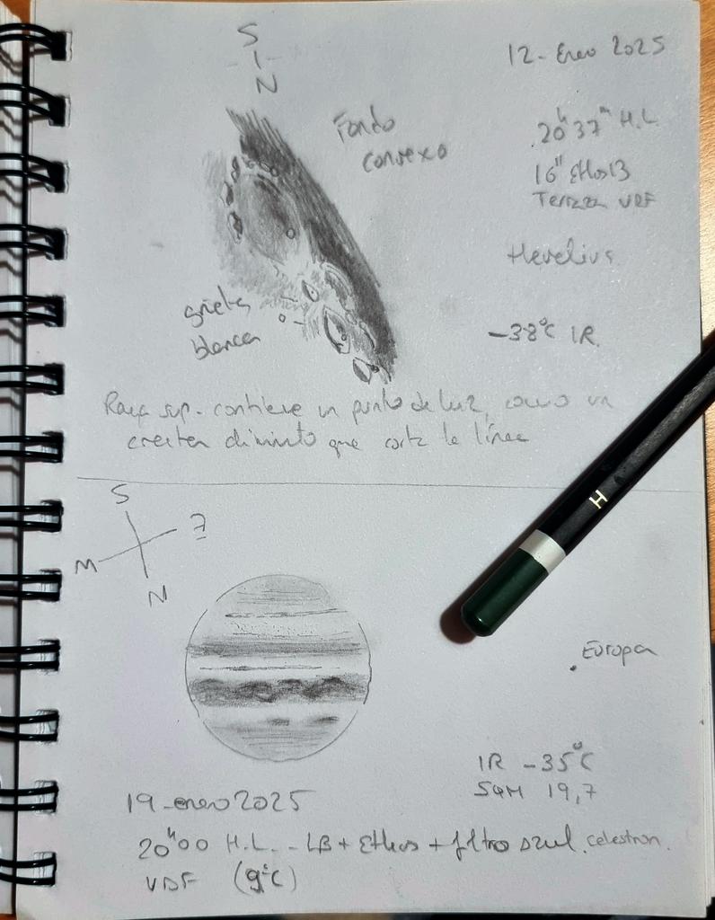 Leonor Ana Hernandez tweet media