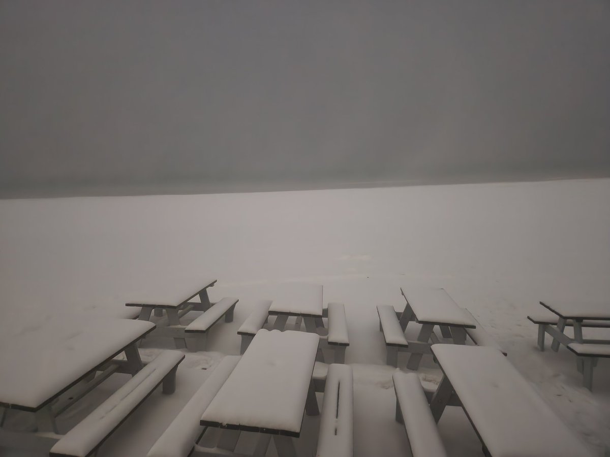 wildcat1129's tweet photo. Snow ❄️ at the beach ⛱️ https://t.co/YTY9u5nYG1