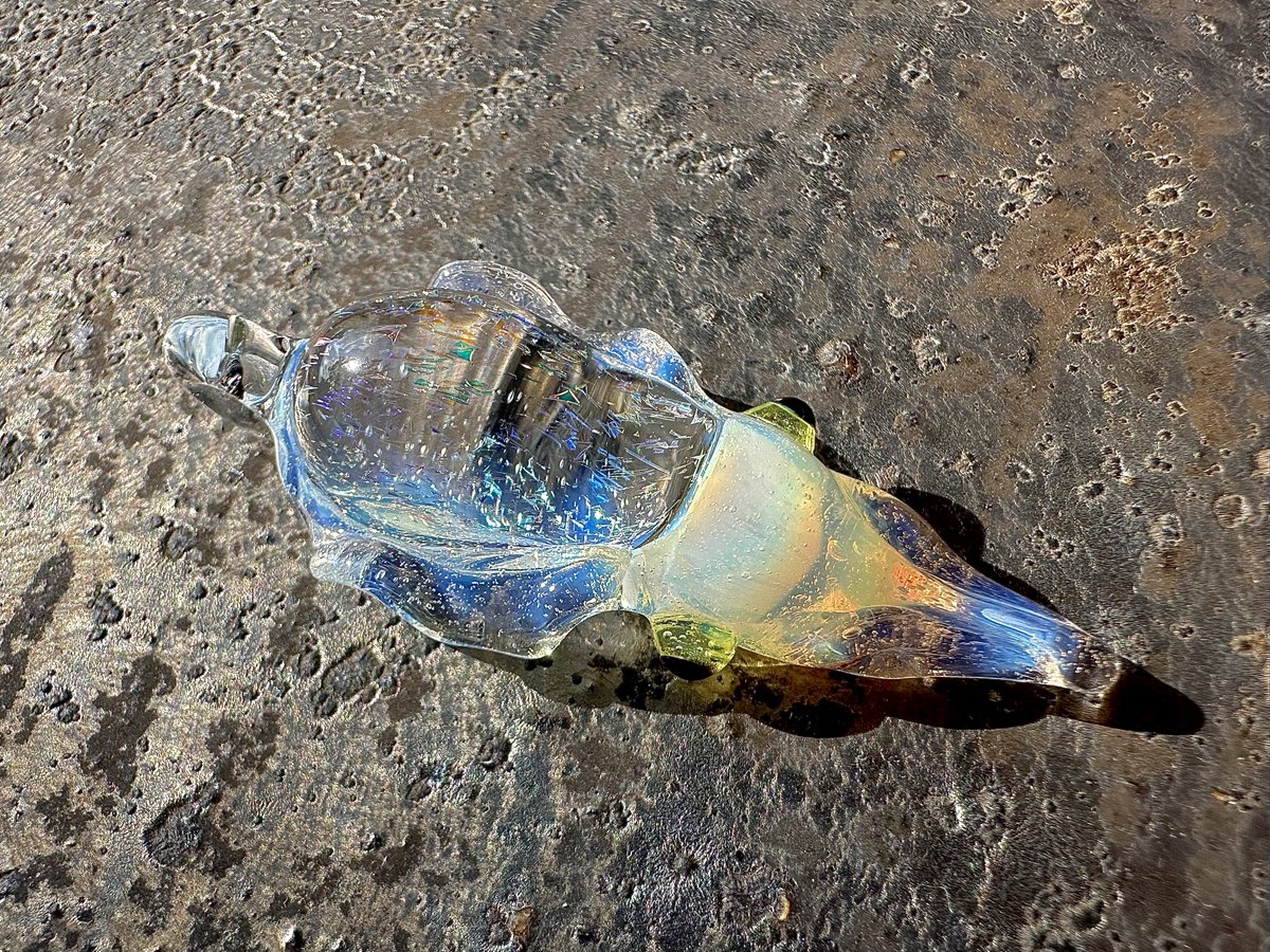 GuruGuruGlass's tweet photo. イカが好き過ぎてイカを作るのは長い間躊躇していましたが、今、イカと程よい距離感が出来たので満を持してメイキングイカ🦑

お待たせしました全国に散らばるイカ好きのみなさま🦑
アオリイカ焼けましたよ〜 https://t.co/QkcZFjQu0T