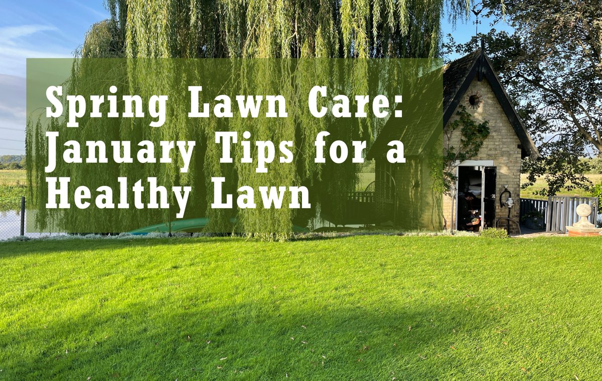 Joe's Lawn Care 🌱 tweet media