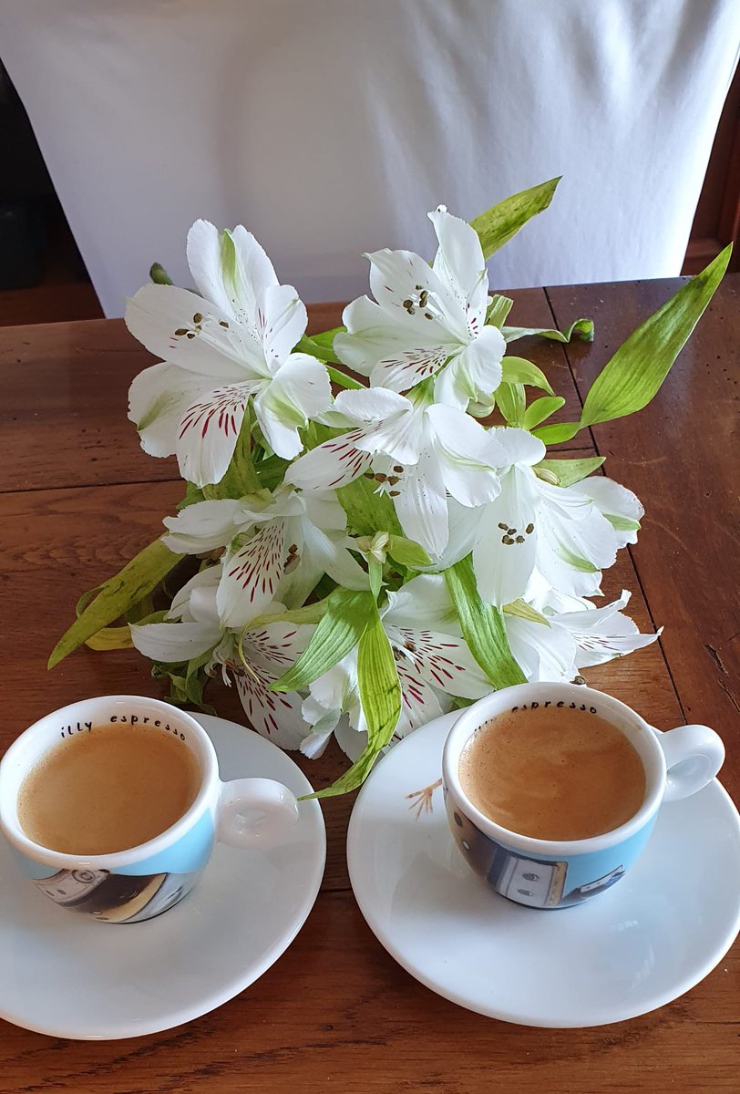 Günaydın dostlar 🙋‍♂️