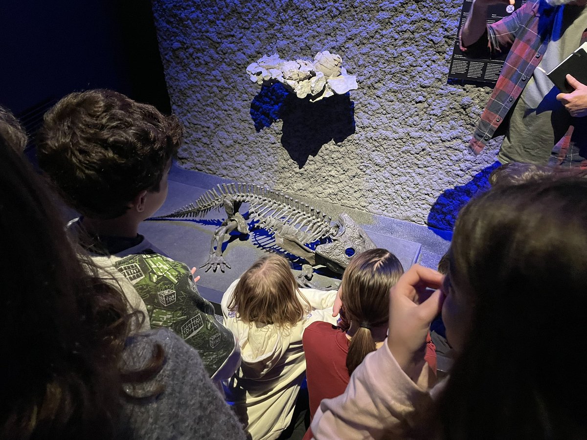 Escola El Puig tweet media