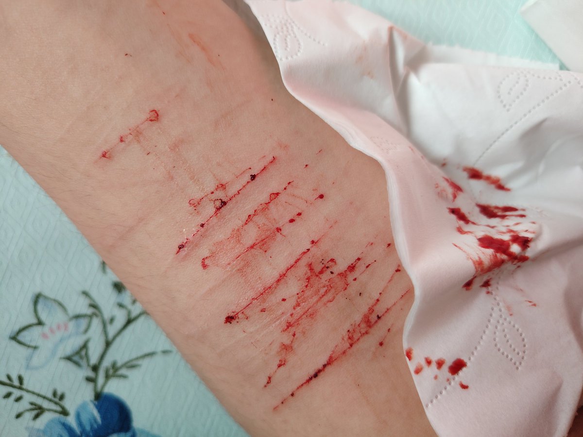 阿阿阿笙（瑞幸100％及时率版） tweet media