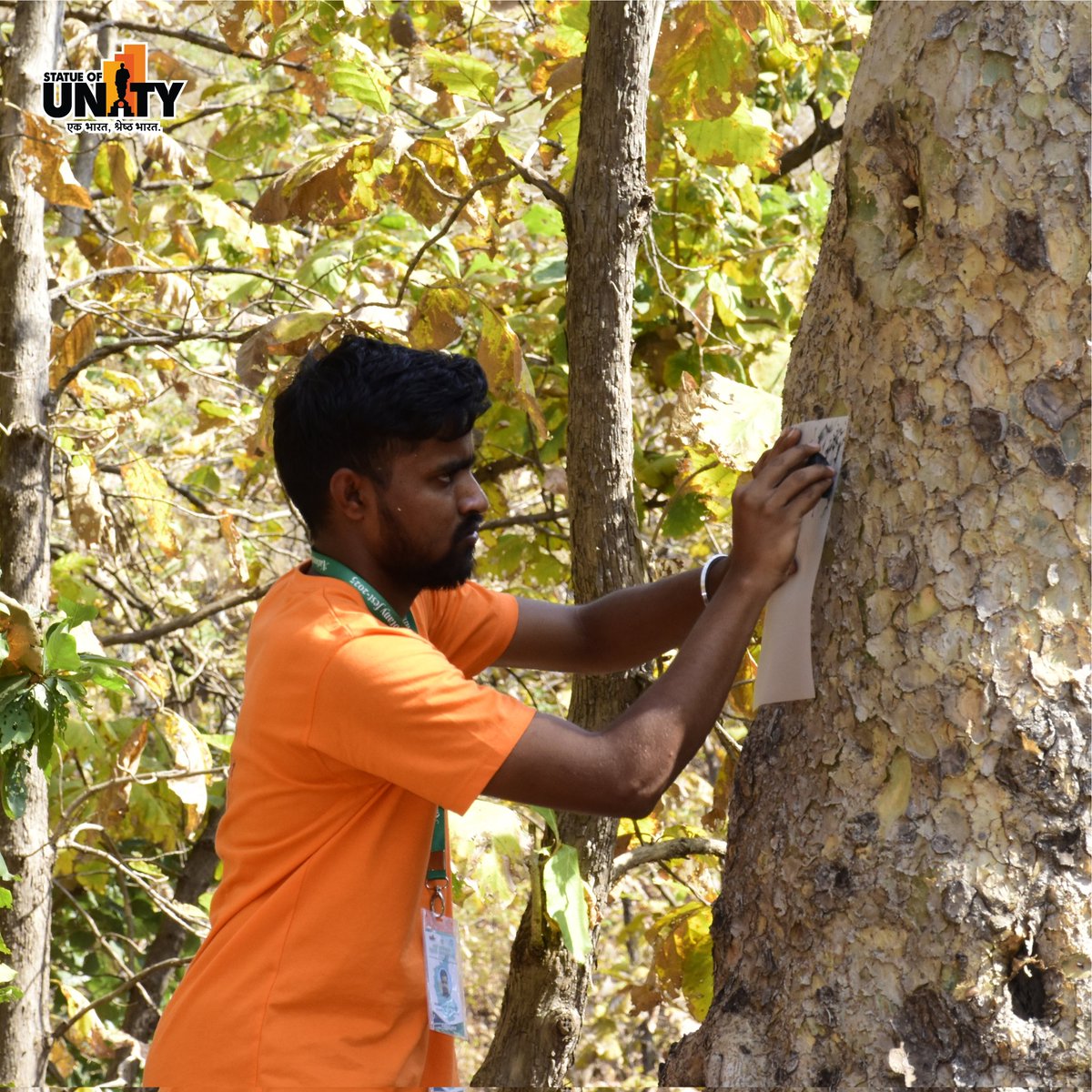 souindia's tweet photo. The 1st National Botanical Fest is in full swing at Ekta Nagar, bringing botany students closer to nature's wonders and fostering a deeper understanding of biodiversity.

#StatueOfUnity #NationalBotanyFest2025 #EktaNagar #150YearsOfSardarPatel #UnityInBioDiversity https://t.co/yujzA0EZCO
