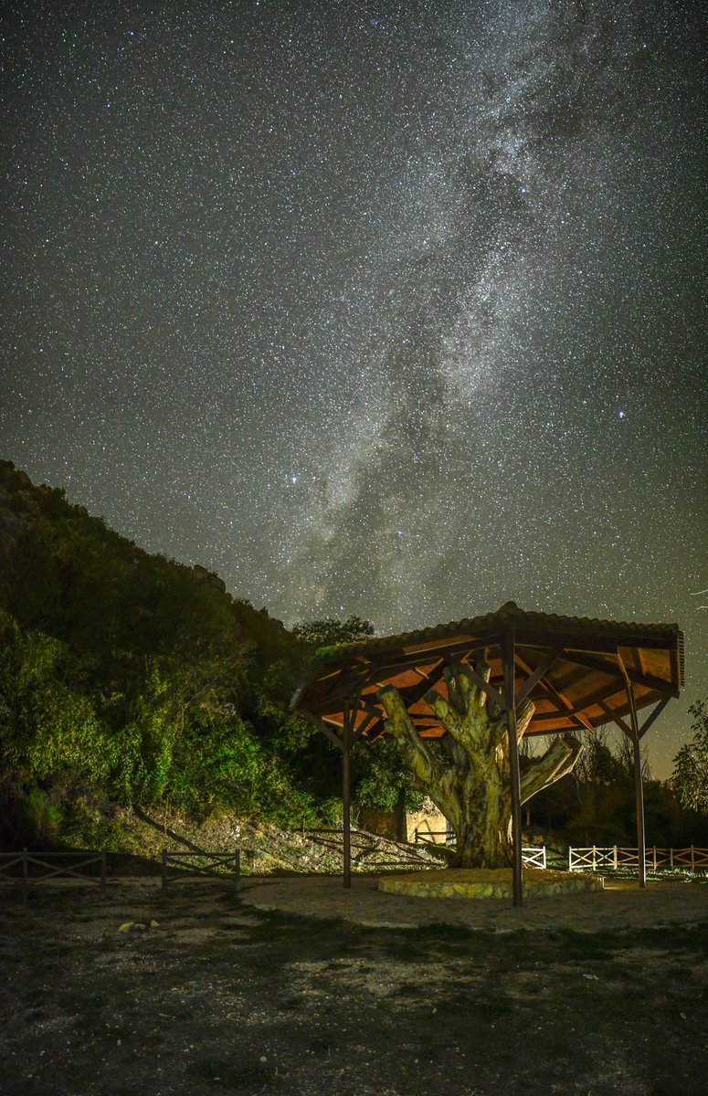 Horrorosa CONTAMINACIÓN LUMÍNICA hace de la observación astronómica una busqueda de emplazamientos a su resguardo q permitan estudiar los cielos nocturnos y fotografiarlos
El SURESTE cuenta con algunos de esos puntos q aqui vamos a traer y proponer

NERPIO #Albacete

📷JM.Serna