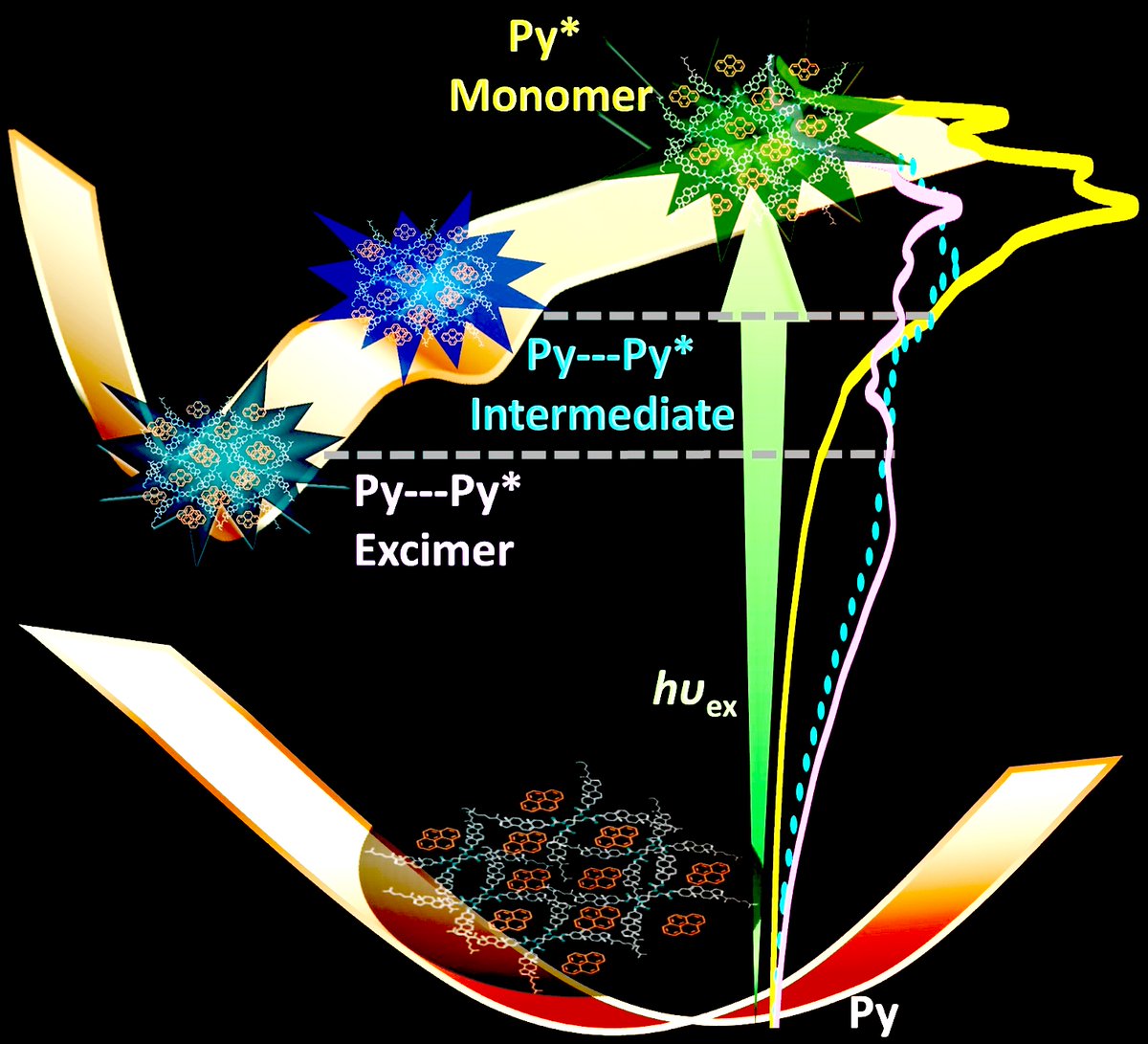 Sachin Dev Verma (सदेव) (@sdv_tweets) on Twitter photo Pyrene Excimer Dynamics in a Host Matrix. Coming Soon. Pyrene Excimer Dynamics in a Host Matrix. Coming Soon.