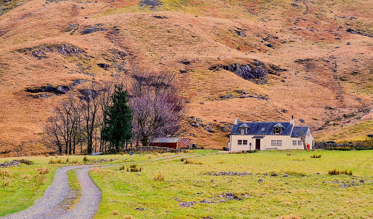 Giovy Malfiori tweet media