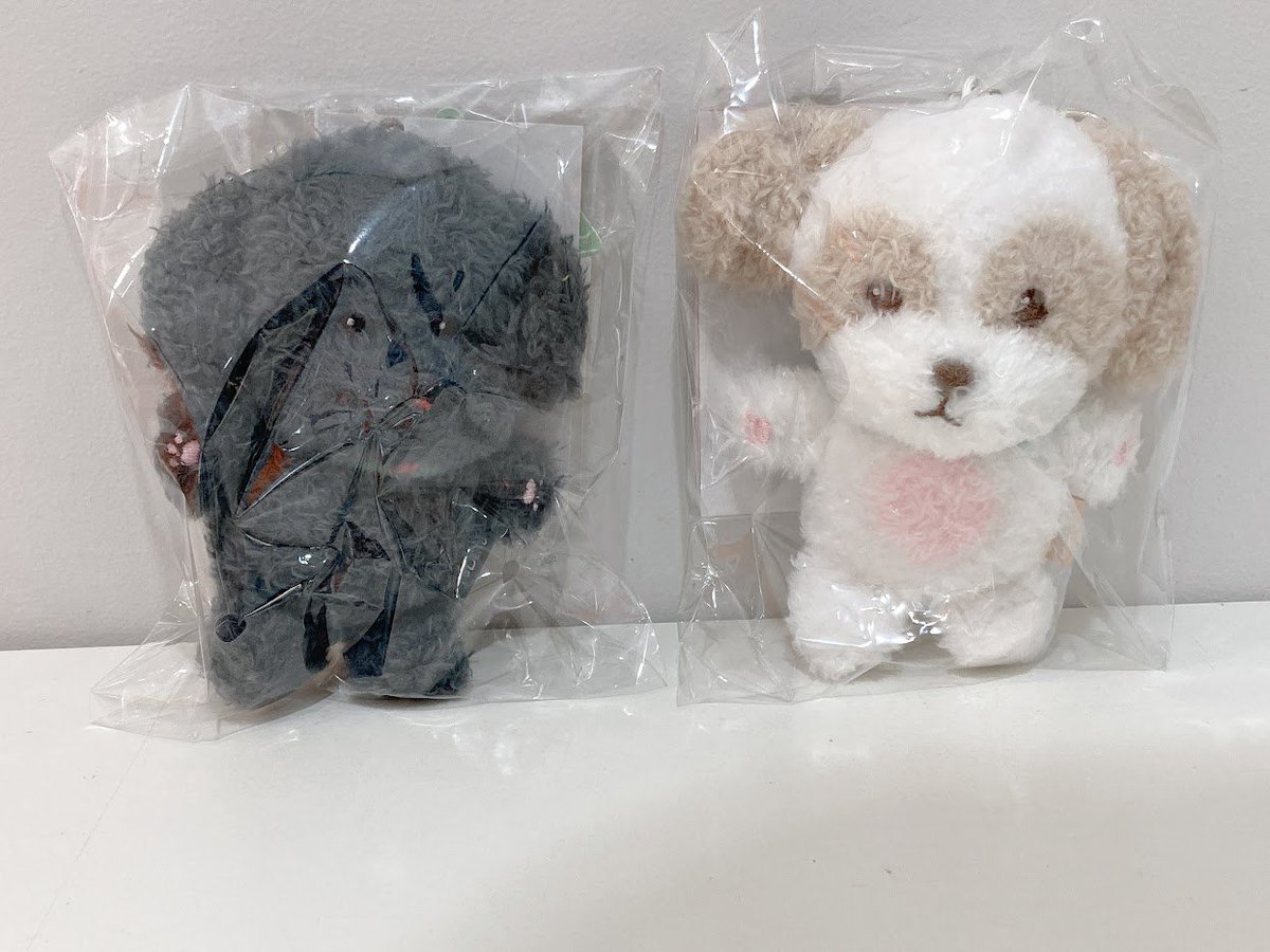 🎉 #animateImportShop池袋 商品情報🎉 CHANYEOLさんの 2024 CHANYEOL