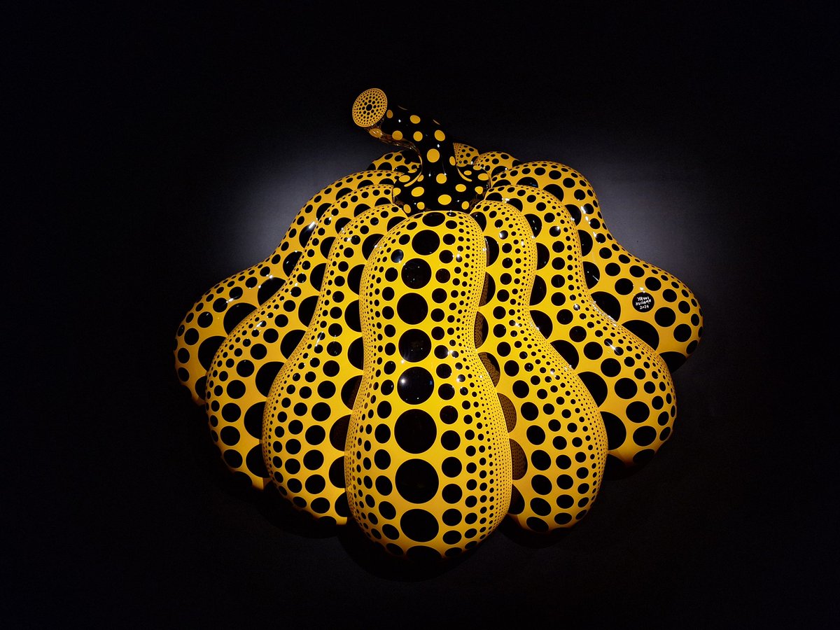 Sue C 🐯 tweet media