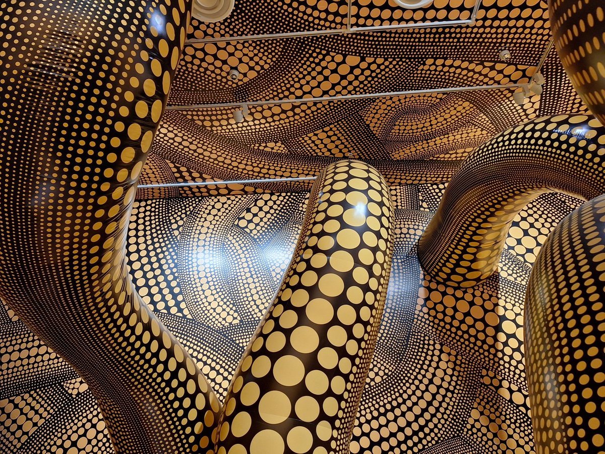 Sue C 🐯 tweet media