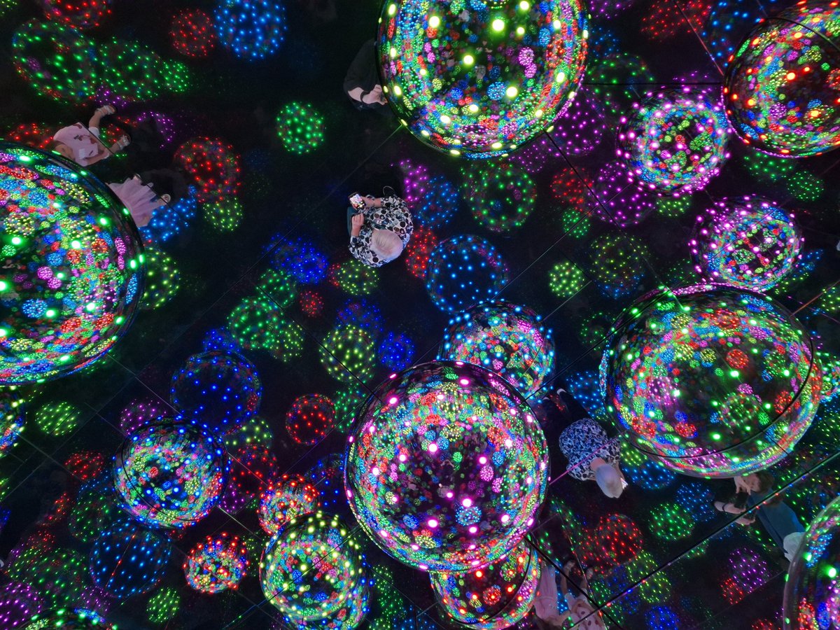 Sue C 🐯 tweet media