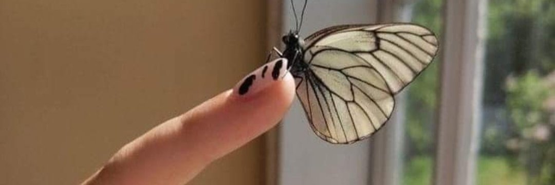 تميل الروح 😉