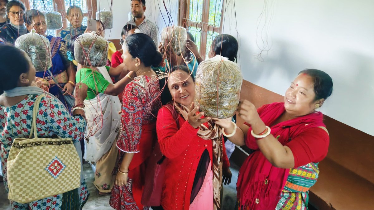 IcarAtariZone06's tweet photo. On 21st January 2025, KVK Nagaon successfully organized a training programme on the Scientific Cultivation of Mushroom under the Promotion of Double Cropping initiative, sponsored by NABARD.

#icarindia #KVKNagaon #MushroomCultivation #DoubleCropping #NABARD https://t.co/PUzHgoOYV6