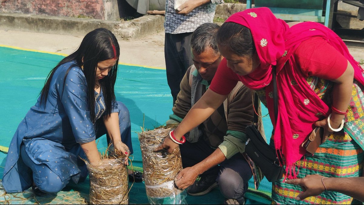 IcarAtariZone06's tweet photo. On 21st January 2025, KVK Nagaon successfully organized a training programme on the Scientific Cultivation of Mushroom under the Promotion of Double Cropping initiative, sponsored by NABARD.

#icarindia #KVKNagaon #MushroomCultivation #DoubleCropping #NABARD https://t.co/PUzHgoOYV6