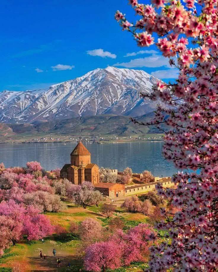 jutt14723's tweet photo. Assalam o Alaikum 
Wishing you a Pleasant Afternoon 
Stay Blessed and Connected https://t.co/fA6GgWOTKx