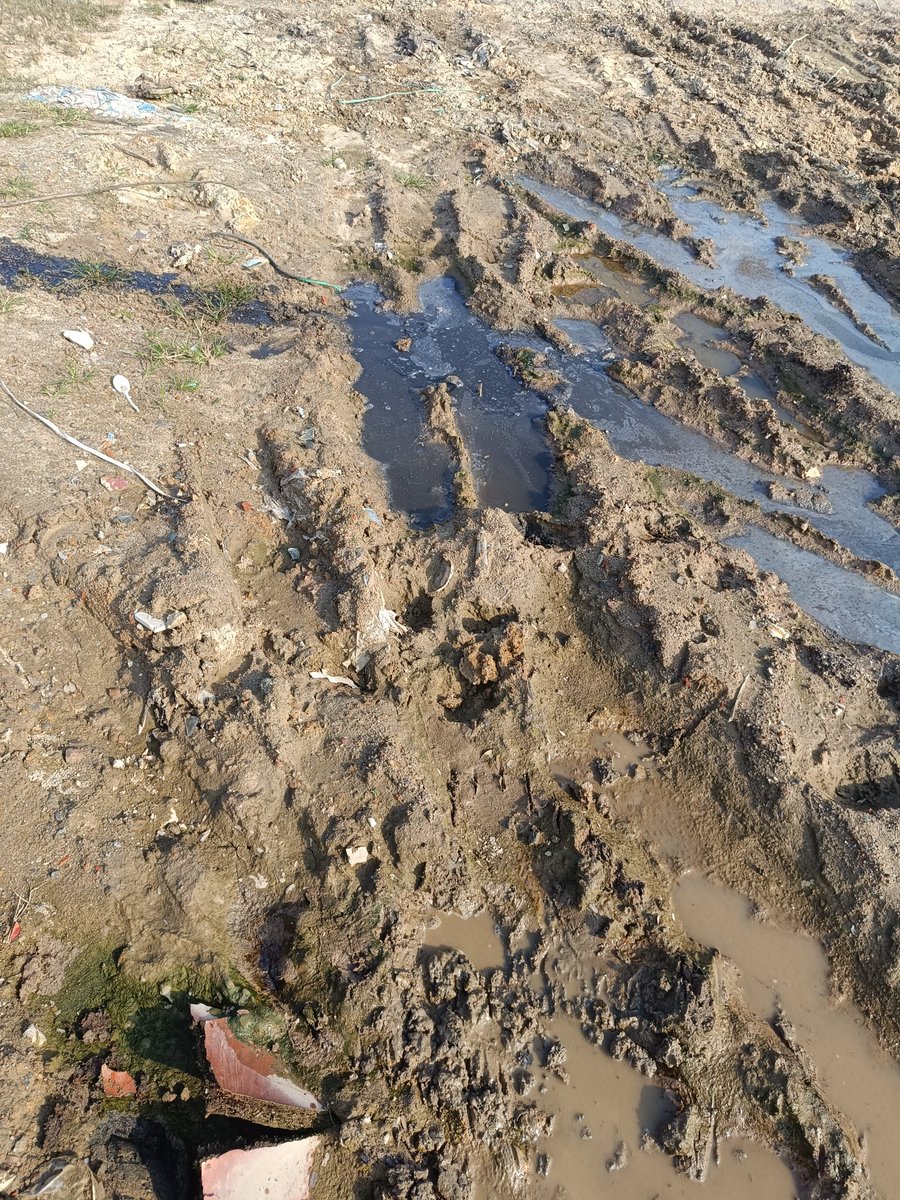 phug0505's tweet photo. morning clean up @cleanify_vet #CleanifyChallenge #ecowarrior https://t.co/7f0f2EzPO4
