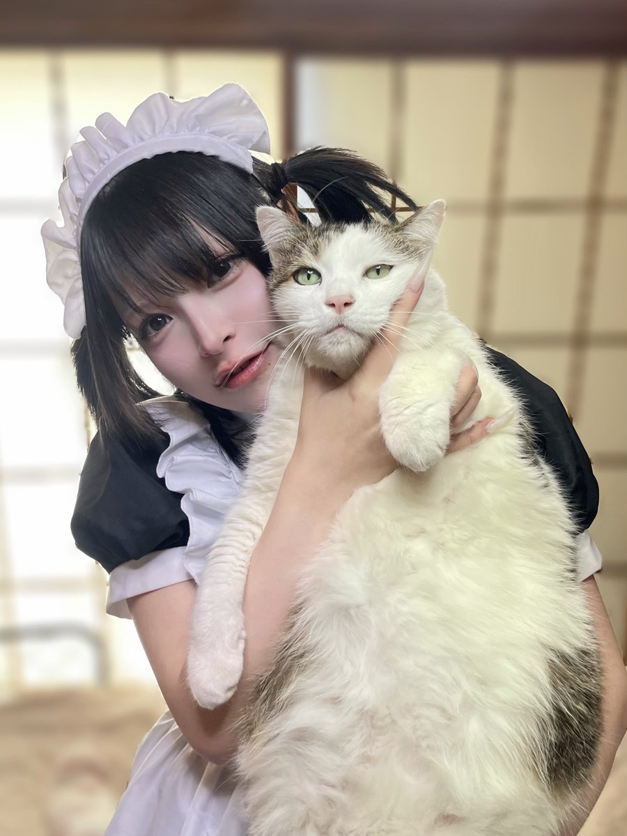 みい/ᐠ - ˕ -マ⁺. 𝄞 (@LD_mii) / Posts / X