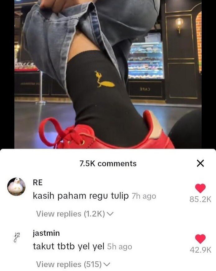 Marcopolo tweet media