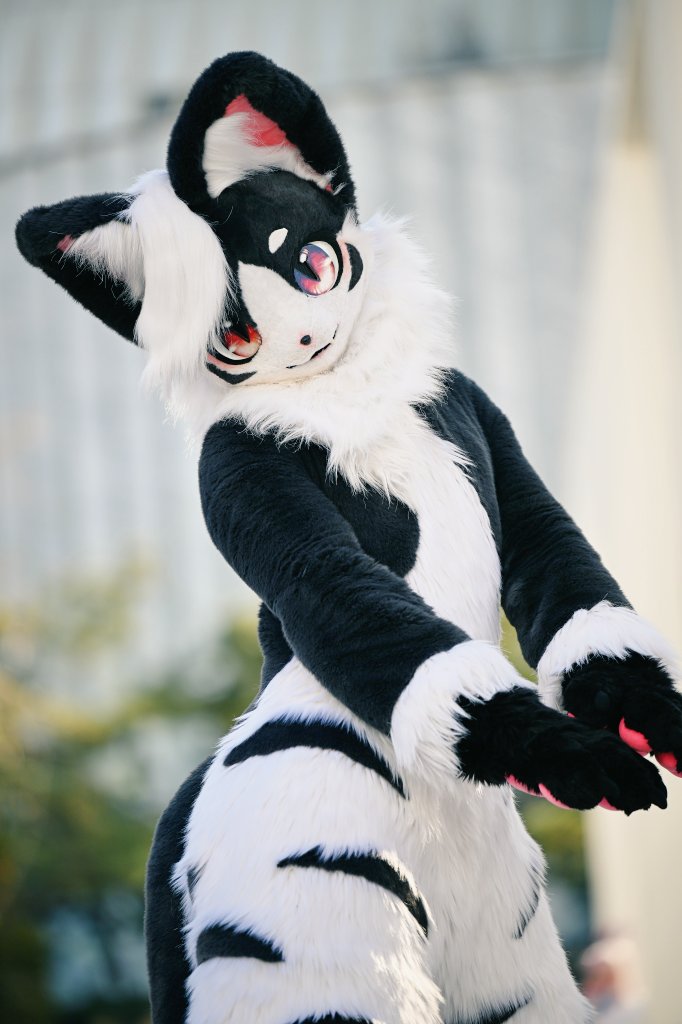 .　〃∩ ∧＿∧
　⊂⌒(　･ω･)
　　＼_ っ♥c

#FursuitEveryday