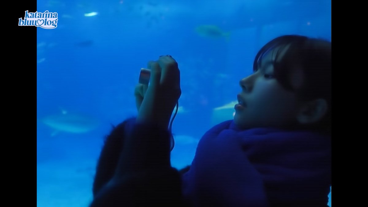 ddodigicam's tweet image. 에스파 카리나 Pick 빈티지 디카 
코닥 이지쉐어 C713 (Kodak EasyShare C713) 
AA건전지+SD카드 조합으로 배터리랑 메모리카드도 구하기 쉬워요! 코닥  특유의 진한 색감이 매력적입니다. 초보자도 편하게 쓸 수 있는 카메라예요📷