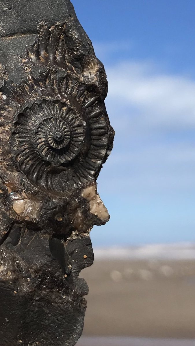 Dean Wilson tweet media