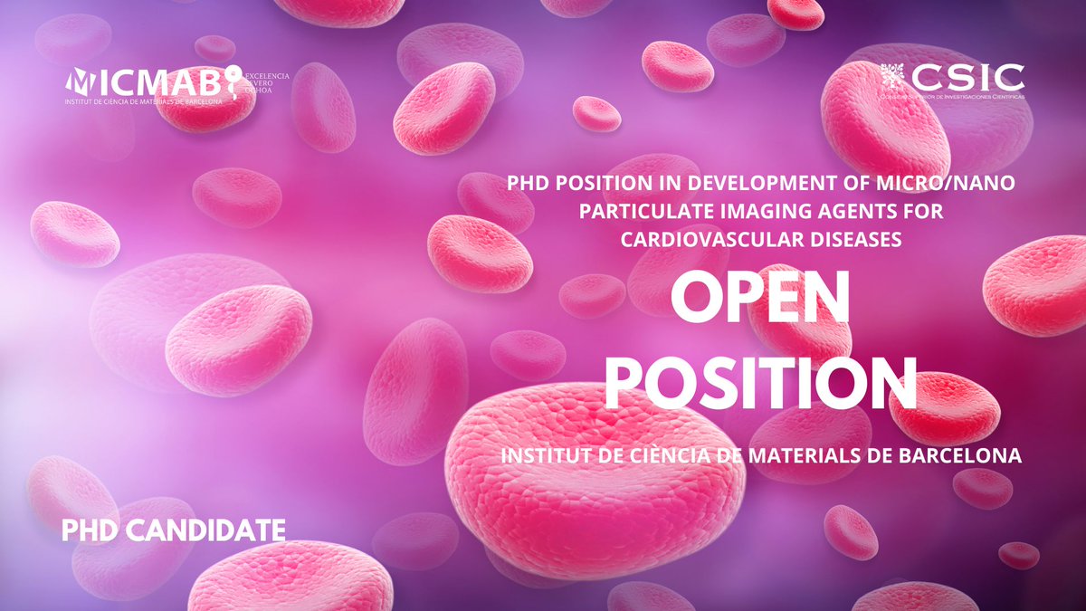 icmabCSIC's tweet photo. New open position at ICMAB!

We are looking to fill a PhD position 🎓in Development of micro/nano particulate imaging agents for cardiovascular diseases♥️

https://t.co/j6f7IokHdu https://t.co/qRbps7SOpf