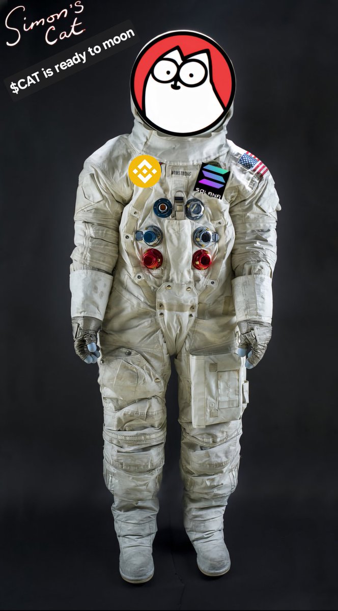 KryptoTupac's tweet photo. @BigdaddyRohit @SimonsCat @BNBCHAIN @solana @DWFLabs @RealFlokiInu @Frogonbnb @badmeme_coin @bonk_inu $CAT is ready to moon when the Real altseason starts. https://t.co/msqvTOzciq